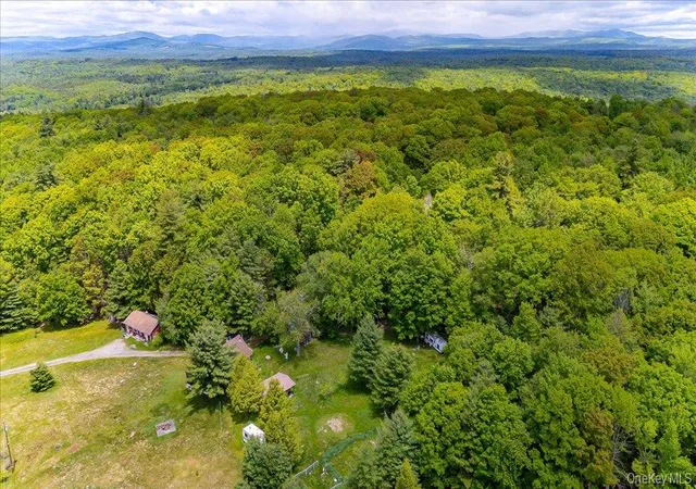 Homes for sale in Wawarsing, NY | 101 Red Star Rd, Wawarsing, NY 12435 | MLS# 965863