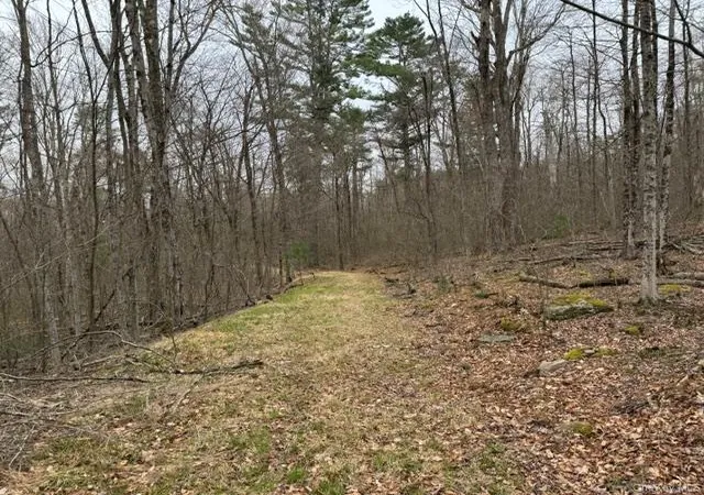 Photo 1 of Land for sale at Lot 32 Woodstone Trl, Bethel, NY 12720 | MLS# 966241 | Listing updated on 2026-06-10