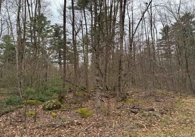 Photo 2 of Land for sale at Lot 32 Woodstone Trl, Bethel, NY 12720 | MLS# 966241 | Listing updated on 2026-06-10
