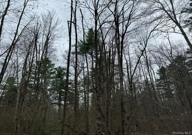 Photo 3 of Land for sale at Lot 32 Woodstone Trl, Bethel, NY 12720 | MLS# 966241 | Listing updated on 2026-06-10