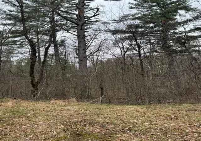 Photo 4 of Land for sale at Lot 32 Woodstone Trl, Bethel, NY 12720 | MLS# 966241 | Listing updated on 2026-06-10