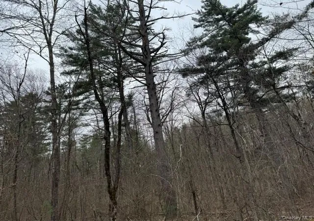 Photo 5 of Land for sale at Lot 32 Woodstone Trl, Bethel, NY 12720 | MLS# 966241 | Listing updated on 2026-06-10