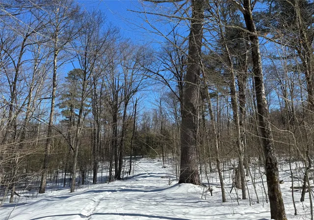 Photo 14 of Land for sale at Lot 32 Woodstone Trl, Bethel, NY 12720 | MLS# 966241 | Listing updated on 2026-06-10