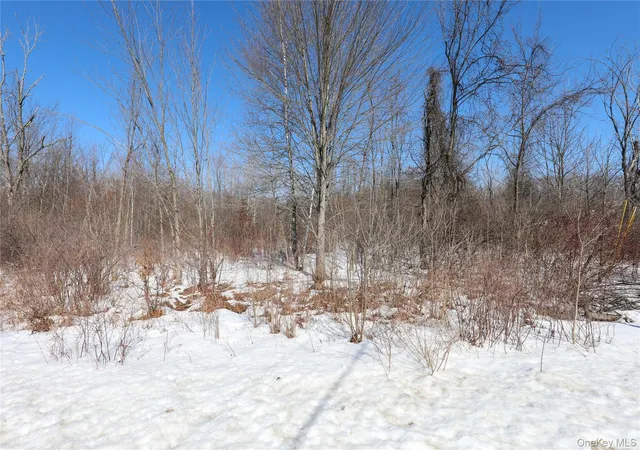 6th image of 2410 State Route 300, Shawangunk, NY 12589 | MLS# 966326