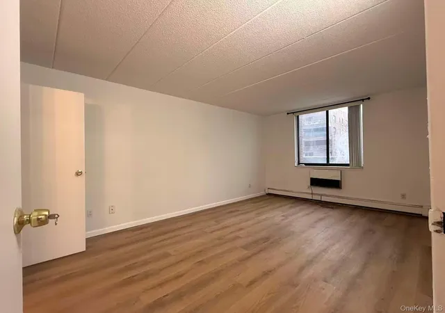 Listing Photo 3 - Condo for sale in building located at 136-24 Maple Ave, New York, NY 11355 - Unit #3B