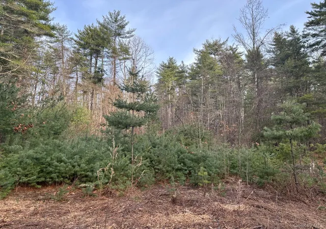 1st image of 1 Avenue B, Deerpark, NY 12729 | MLS# 966930