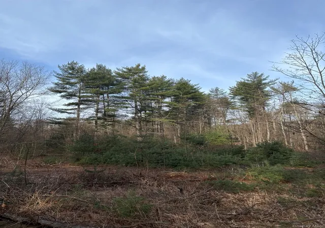 4th image of 1 Avenue B, Deerpark, NY 12729 | MLS# 966930