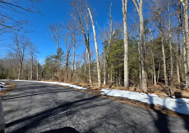 Homes for sale in Thompson, NY | Gregory Rd, Thompson, NY 12701 | MLS# 967729