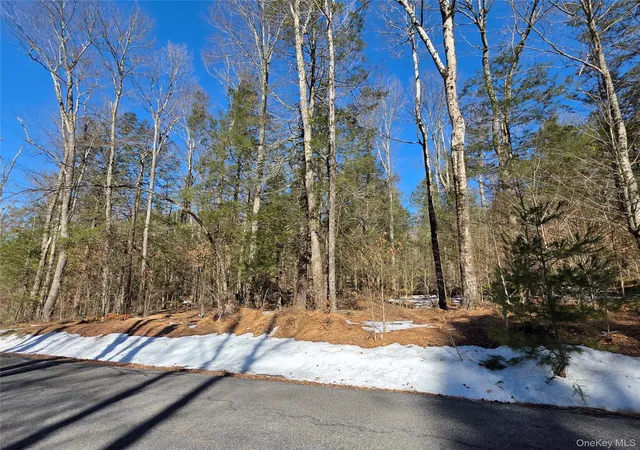 Homes for sale in Thompson, NY | Gregory Rd, Thompson, NY 12701 | MLS# 967729