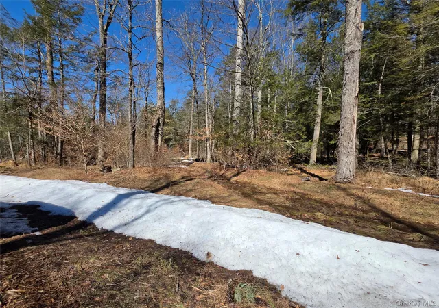 Homes for sale in Thompson, NY | Gregory Rd, Thompson, NY 12701 | MLS# 967729