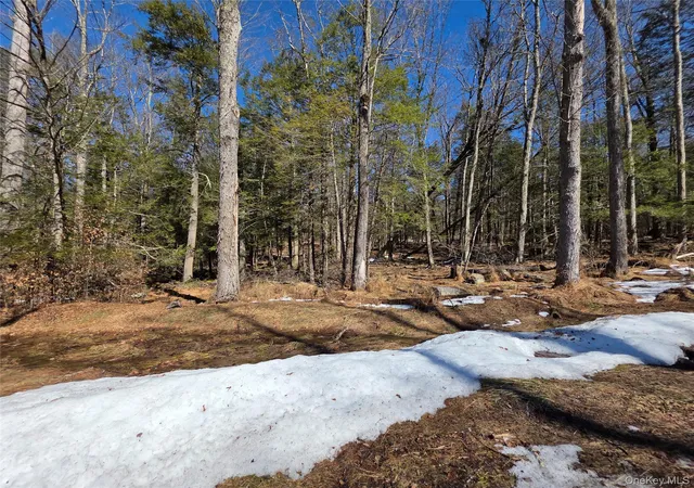 Homes for sale in Thompson, NY | Gregory Rd, Thompson, NY 12701 | MLS# 967729