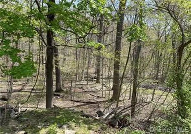 Homes for sale in Ramapo, NY | 458 Pascack Rd, Ramapo, NY 10977 | MLS# 967980