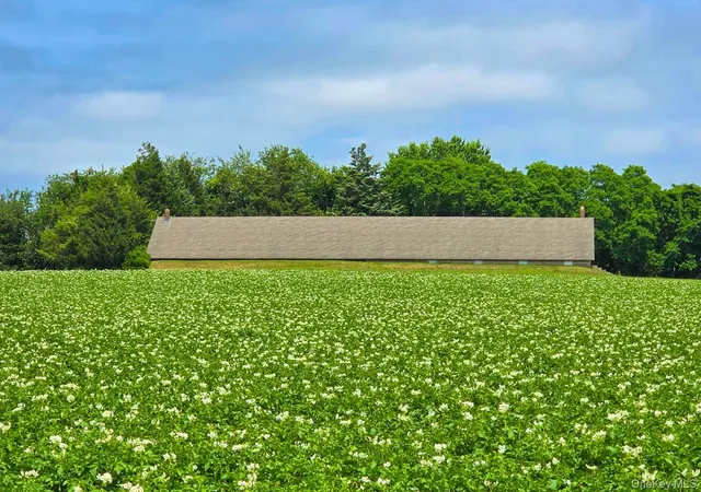 Photo 4 of Land for sale at 731 Deerfield (lot #4) Rd, Southampton, NY 11976 | MLS# 968433 | Listing updated on 2026-08-18
