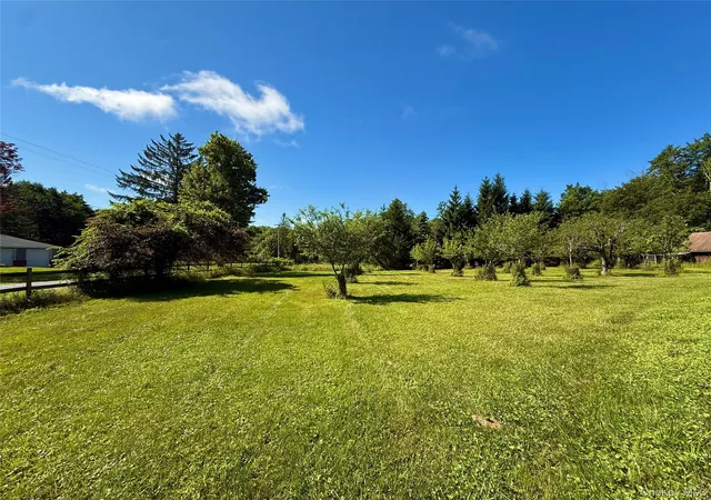 Homes for sale in Bethel, NY | 38 Moscoe Rd, Bethel, NY 12786 | MLS# 968845