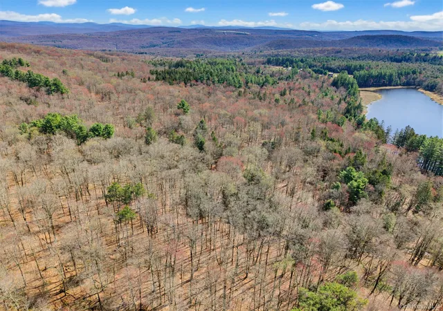 Photo 5 of Land for sale at 85 Lenape Lake Rd, Liberty, NY 12758 | MLS# 968870 | Listing updated on 2026-07-08