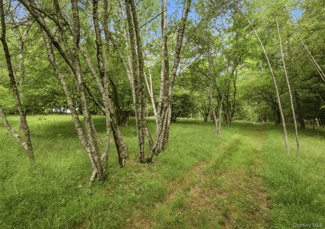Homes for sale in Liberty, NY | California Ave, Liberty, NY 12754 | MLS# 968992