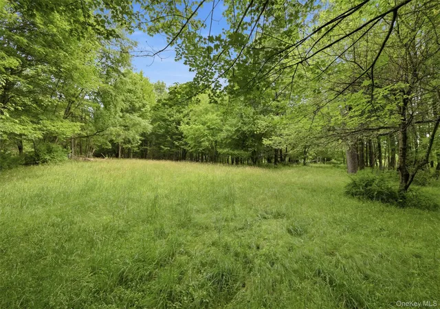 Homes for sale in Liberty, NY | California Ave, Liberty, NY 12754 | MLS# 968992