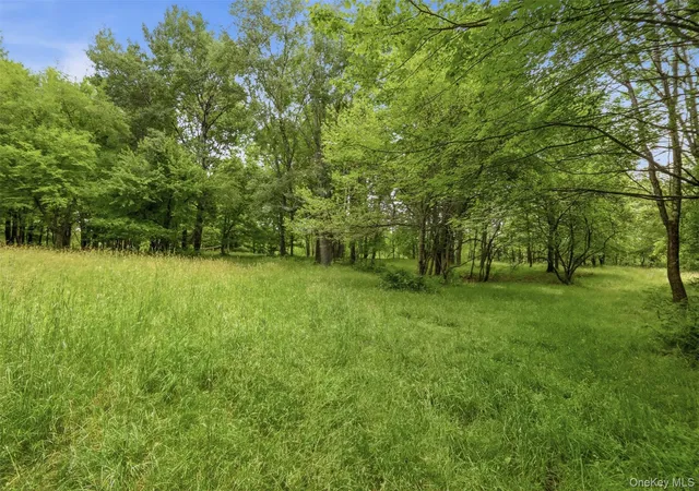Homes for sale in Liberty, NY | California Ave, Liberty, NY 12754 | MLS# 968992