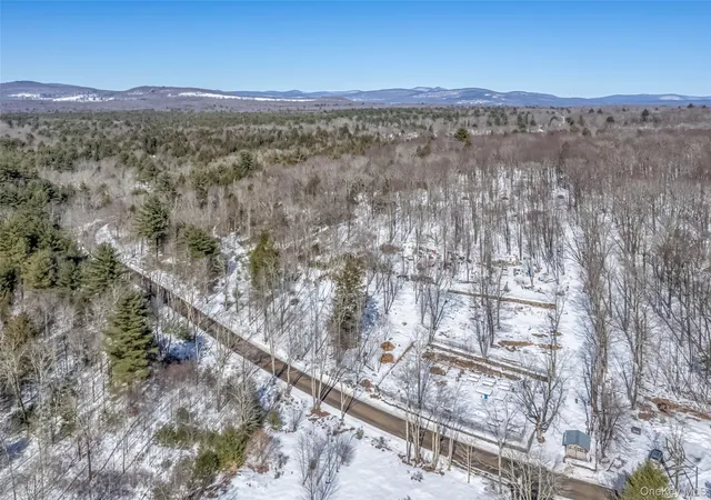 Homes for sale in Wawarsing, NY | Camp Rd, Wawarsing, NY 12489 | MLS# 969029