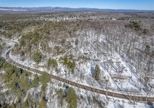 Homes for sale in Wawarsing, NY | Camp Rd, Wawarsing, NY 12489 | MLS# 969029