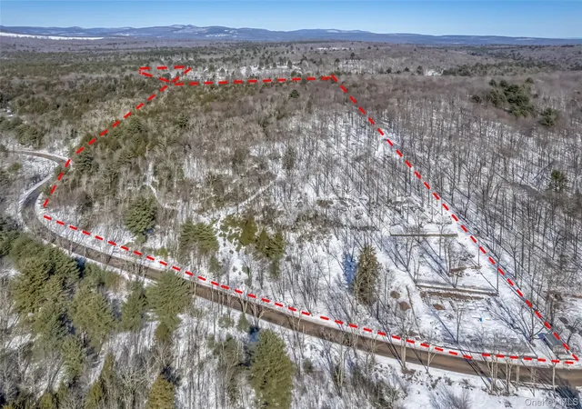 Homes for sale in Wawarsing, NY | Camp Rd, Wawarsing, NY 12489 | MLS# 969029