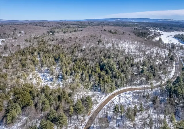 Homes for sale in Wawarsing, NY | Camp Rd, Wawarsing, NY 12489 | MLS# 969029