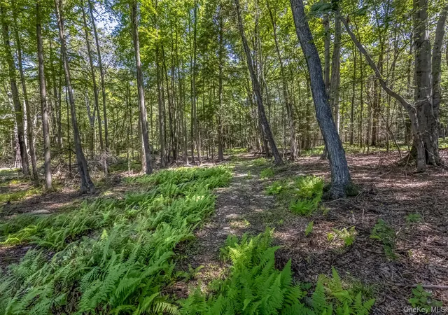 Photo 4 of Land for sale at Camp Rd, Wawarsing, NY 12489 | MLS# 969029 | Listing updated on 2026-08-08