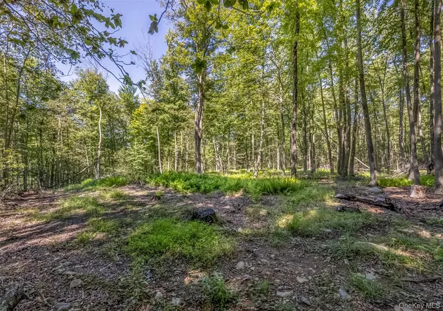 Photo 5 of Land for sale at Camp Rd, Wawarsing, NY 12489 | MLS# 969029 | Listing updated on 2026-08-08