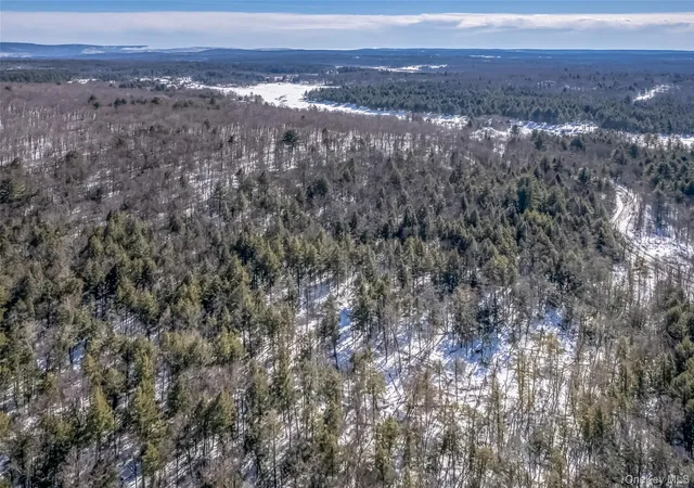 15th image of Camp Rd, Wawarsing, NY 12489 | MLS# 969029