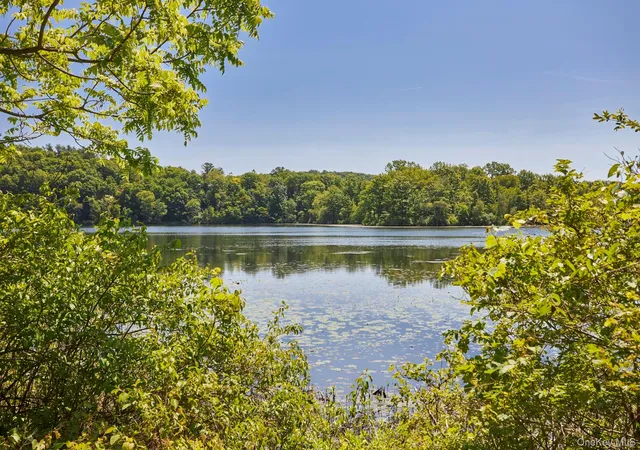 49th image of 203 Silver Lake Rd, Rhinebeck, NY 12572 | MLS# 969504