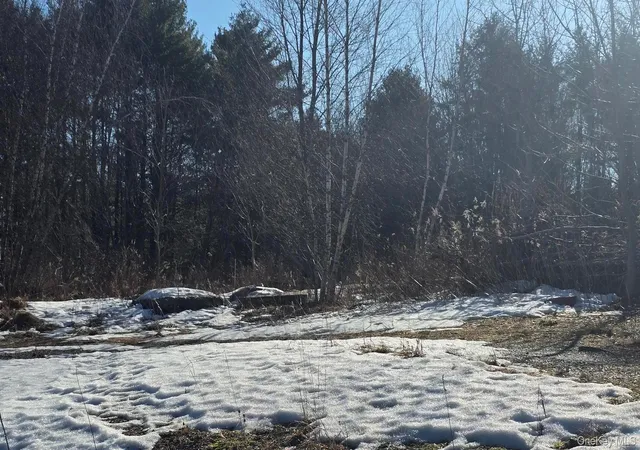 Photo 3 of Land for sale at 1122 State Route 52, Fallsburg, NY 12759 | MLS# 970742 | Listing updated on 2026-03-13