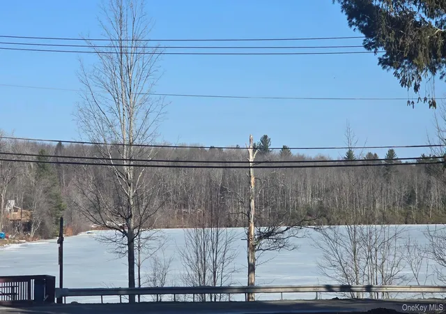 Photo 4 of Land for sale at 1122 State Route 52, Fallsburg, NY 12759 | MLS# 970742 | Listing updated on 2026-03-13