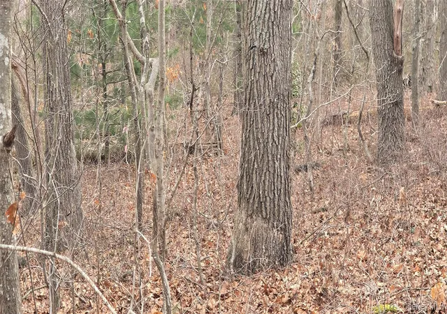Photo 3 of Land for sale at Vl(1) Bedford Ave, Brookhaven, NY 11950 | MLS# 970765 | Listing updated on 2026-04-15