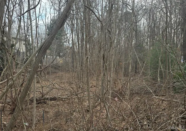 8th image of Vl Bedford Ave, Brookhaven, NY 11950 | MLS# 970765