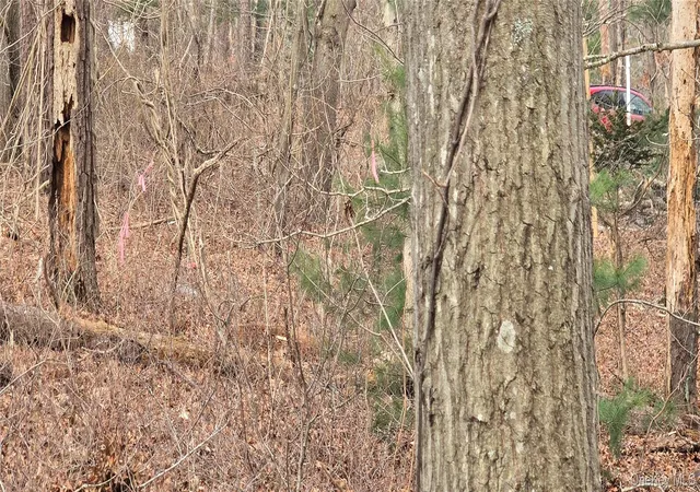 Photo 4 of Land for sale at Vl(2) Bedford Ave, Brookhaven, NY 11950 | MLS# 970783 | Listing updated on 2026-04-15