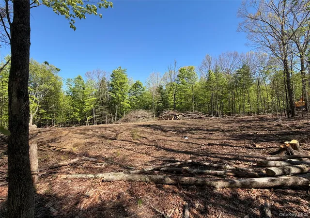 3rd image of 93 York Rd S, Bloomingburg, NY 12721 | MLS# 970833