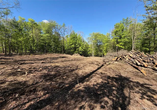 4th image of 93 York Rd S, Bloomingburg, NY 12721 | MLS# 970833