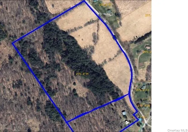 Photo 1 of Land for sale at 275 1 11 Budine Hl Rd, Walton, NY 13856 | MLS# 970904 | Listing updated on 2026-03-19
