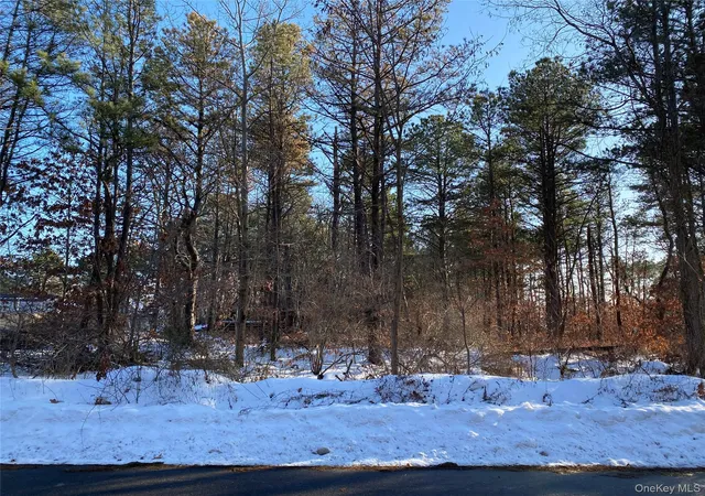 1st image of Agamemnon Ave, Brookhaven, NY 11713 | MLS# 971960