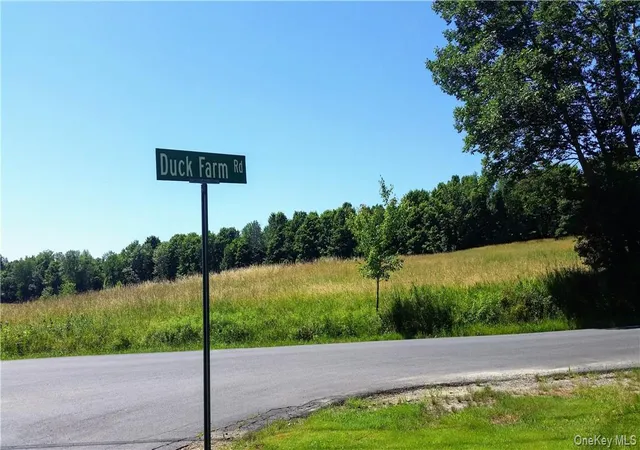 Homes for sale in Goshen, NY | Tbd Old Chester & Duck Farm Rd, Goshen, NY 10924 | MLS# 972427