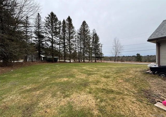 Homes for sale in Bethel, NY | 130 Bushville Swan Lake Rd, Bethel, NY 12734 | MLS# 972541