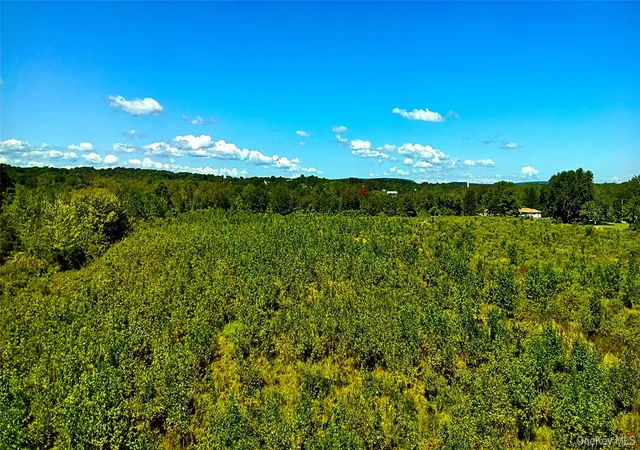 Photo 2 of Land for sale at 00 N Vernon, Athens, NY 12015 | MLS# 972709 | Listing updated on 2026-09-16