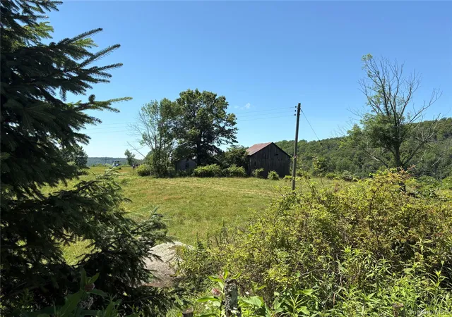 Homes for sale in Fremont, NY | T R 28, Fremont, NY 12736 | MLS# 973341