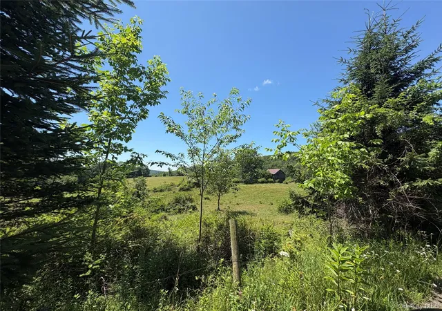 Homes for sale in Fremont, NY | T R 28, Fremont, NY 12736 | MLS# 973341
