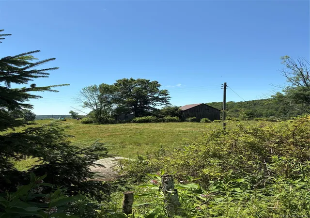 Homes for sale in Fremont, NY | T R 28, Fremont, NY 12736 | MLS# 973341