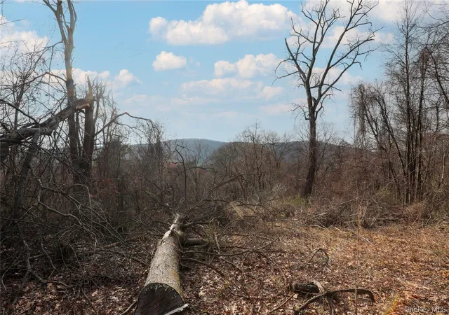 28th image of 625 Broadway, Esopus, NY 12429 | MLS# 973424
