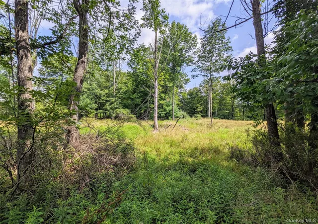 Homes for sale in Bethel, NY | State Route 55, Bethel, NY 12720 | MLS# 973433