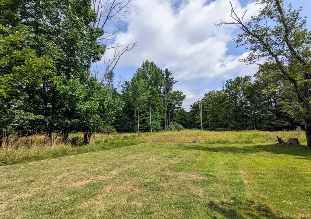 Homes for sale in Bethel, NY | State Route 55, Bethel, NY 12720 | MLS# 973433