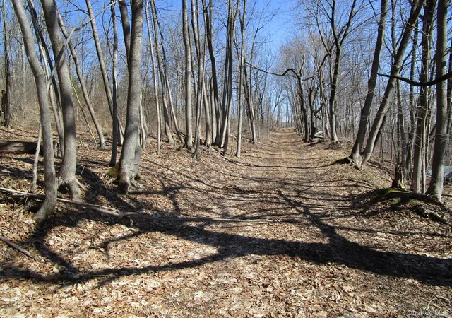 2nd image of Co Rt 12, Wawayanda, NY 10958 | MLS# 973871