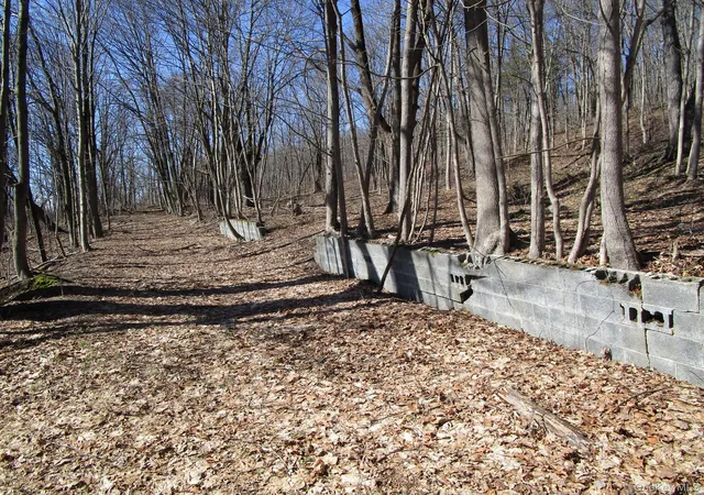 3rd image of Co Rt 12, Wawayanda, NY 10958 | MLS# 973871